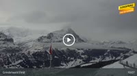 Grindelwald - First
