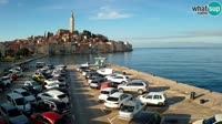 Rovinj - Panorama