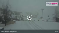 Sierra Nevada - Mirlo Blanco