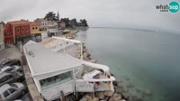 Novigrad - Porporela