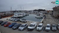 Novigrad - Porporela Marina