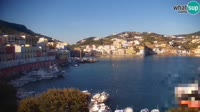 Ponza - Puerto