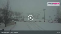 Sierra Nevada - Mirlo Blanco