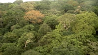 Yangambi Biosphere Reserve