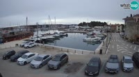 Novigrad - Porporela Marina