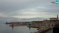 Piran - Marina