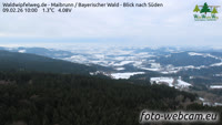 Maibrunn - Waldwipfelweg - Bavarijos miškas