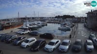 Novigrad - Porporela Marina