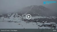 Grandvalira - El Tarter - Pi de Migdia