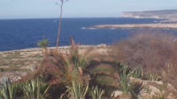 Lampedusa - Capo Ponente