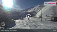 Sierra Nevada - Mirlo Blanco