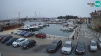 Novigrad - Porporela Marina