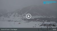 Grandvalira - El Tarter - Pi de Migdia