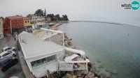 Novigrad - Porporela