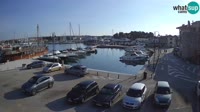 Novigrad - Porporela Marina