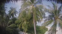 Akasdhoo - Hard Rock Hotel Maldives