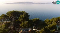 Brela - Bluesun hotel Soline - Panorama