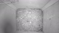 Nest box
