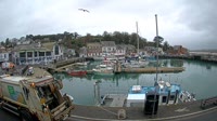 Padstow - Harbour