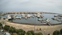Mola di Bari - Harbour