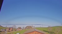 Root - Panoramic view
