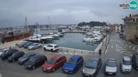 Novigrad - Porporela Marina