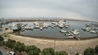 Mola di Bari - Harbour