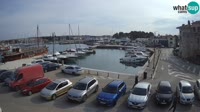 Novigrad - Porporela Marina