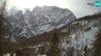 Kranjska Gora - Erjavčeva - Prisojnik