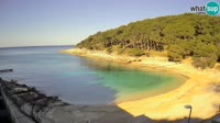 Mali Lošinj - Sunčana uvala beach