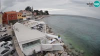 Novigrad - Porporela