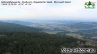 Maibrunn - Waldwipfelweg - Bavarijos miškas