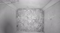 Nest box