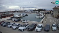 Novigrad - Porporela Marina