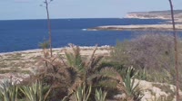 Lampedusa - Capo Ponente