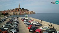 Rovinj - Panoramic view