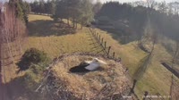 Strzelce - Stork's nest