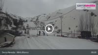 Sierra Nevada - Mirlo Blanco