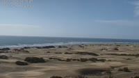 Gran Canaria - Playa del Inglés - Maspalomas