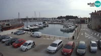 Novigrad - Porporela Marina