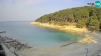 Mali Lošinj - Sunčana uvala beach