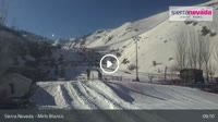 Sierra Nevada - Mirlo Blanco