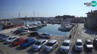 Novigrad - Porporela Marina