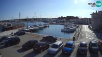 Novigrad - Porporela Marina