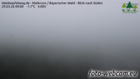 Maibrunn - Waldwipfelweg - Bayerischer Wald