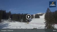 Madonna di Campiglio - Patascoss, Grostè