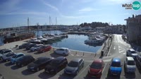 Novigrad - Porporela Marina