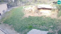 Lublana - ZOO