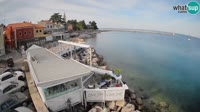 Novigrad - Porporela