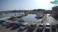 Novigrad - Porporela Marina